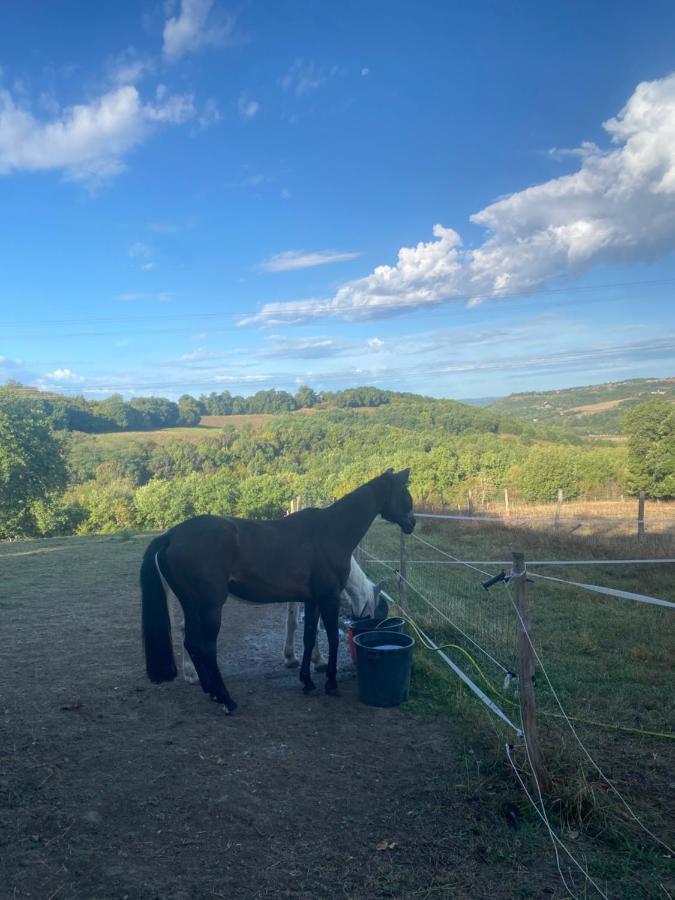 Chez Sophie - Gite Et Gite Equestre Clermont-Dessous 外观 照片