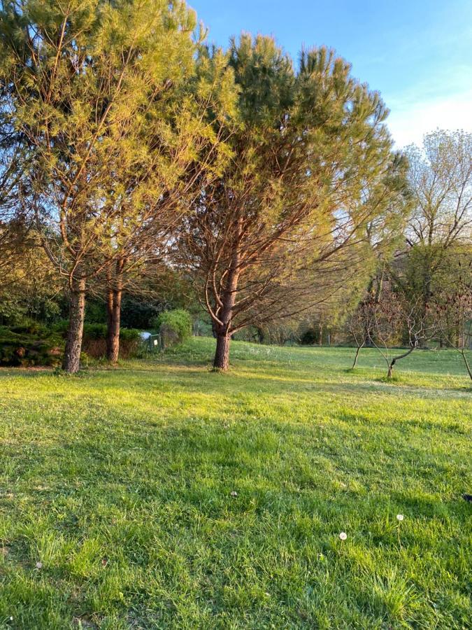 Chez Sophie - Gite Et Gite Equestre Clermont-Dessous 外观 照片